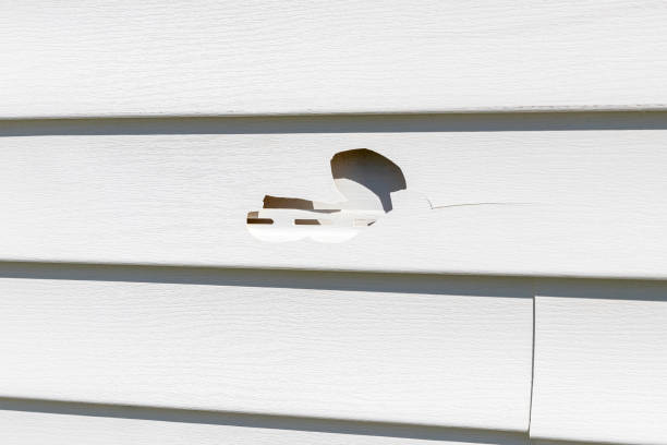 Best Property Management Cleanouts  in Stanberry, MO